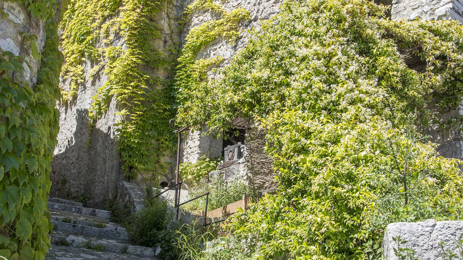 Boucle de Saint-Paul de Vence à Vence par le vallon du Malvan